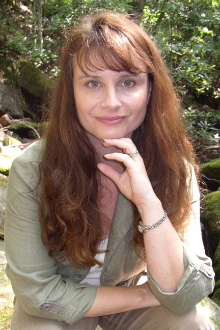 hummingbird by kimberly greene angle